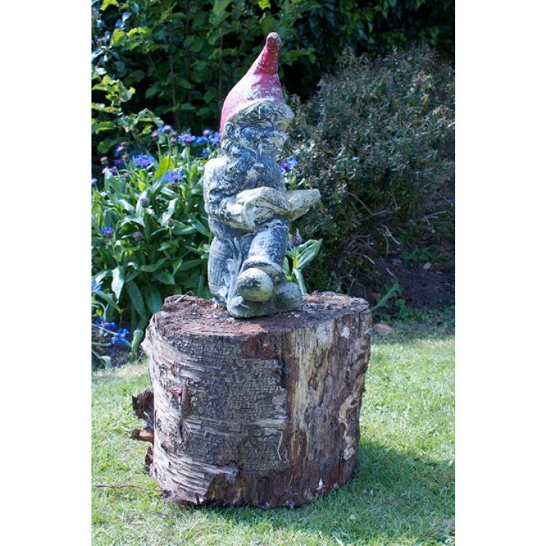 Garden Gnome