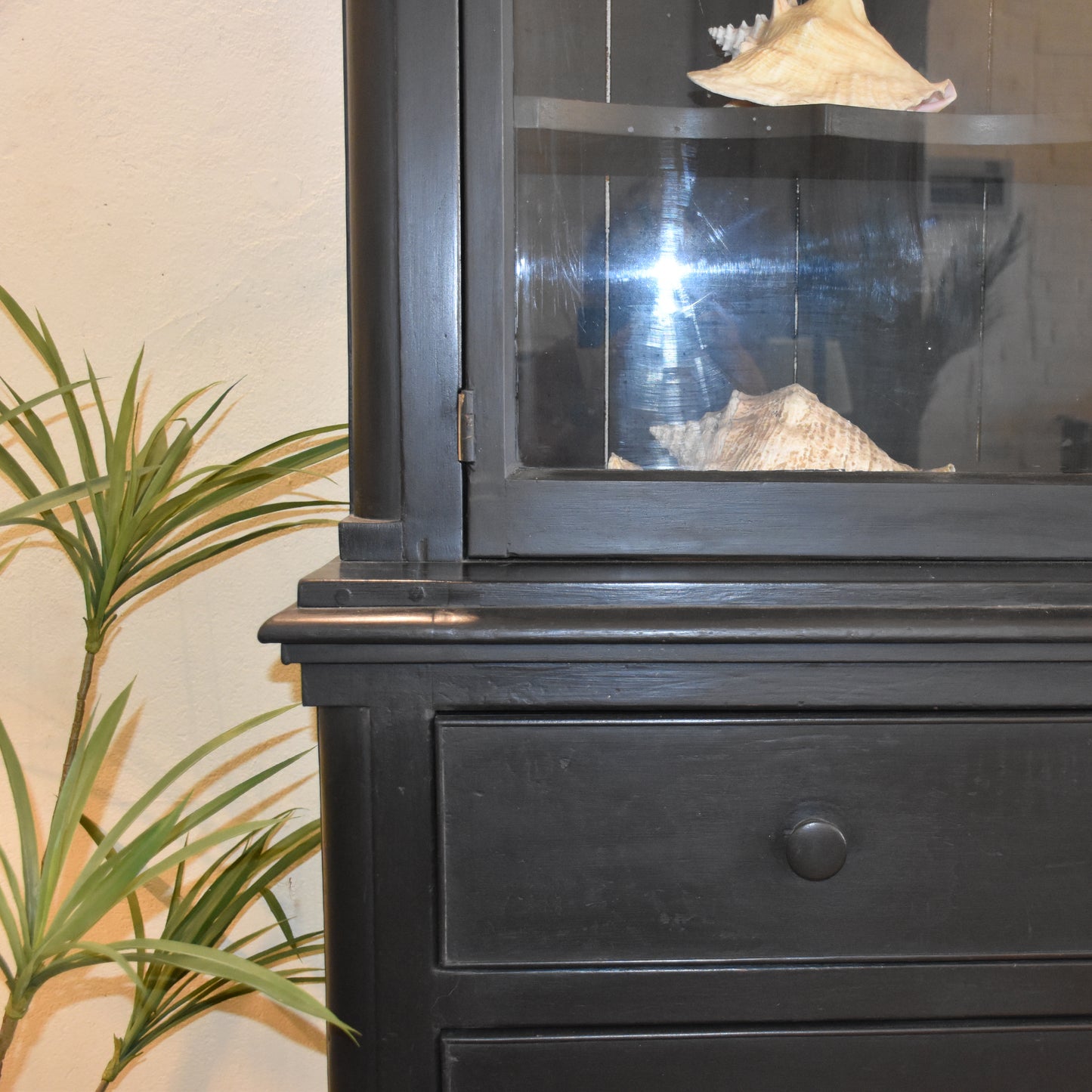 5066 19th Century ebonised Library Cabinet